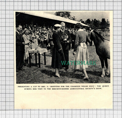 C3063) Brecknockshire Agricultural Soc Show Queen Mrs D Griffiths Pony 1955