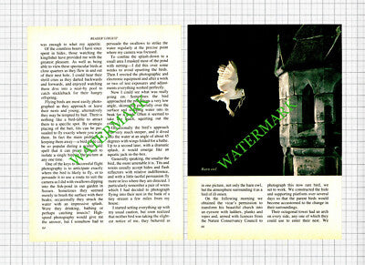Stephen Dalton Photographer - 1984 Article