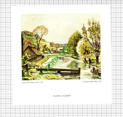 Millstream Nailsworth Hervey Adams - 1935 Cutting