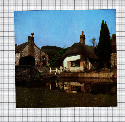 9386) Singleton Sussex - 1965 Cutting