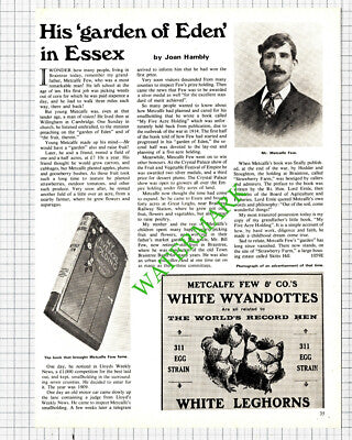 Mr Metcalfe Few Strawberry Farm Braintree Essex - 1975 Article
