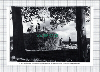 C5894) Brunton Farm Gosforth - Cutting