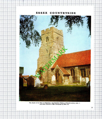 Church of St Peter Paglesham Essex  - 1971 Cutting / Print