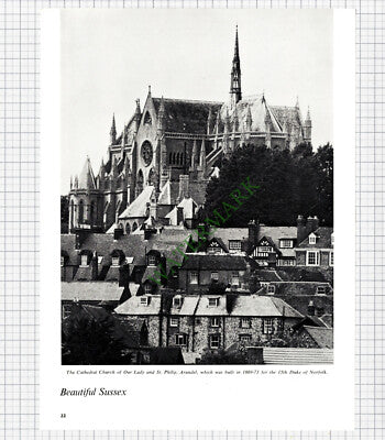 9305) Church Of Our Lady And St Philip Arundel Sussex - 1965 Cutting