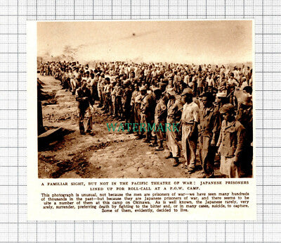 Japanese Prisoners Of War POW Okinawa Japan - 1945 Cutting