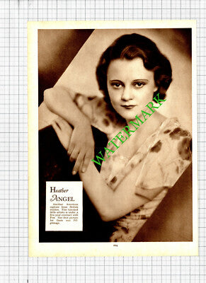 Heather Angel Actress / Frederic March Actor - 1930s Cutting / Print