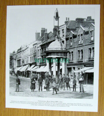 (X91) High Street Chelmsford Essex - Book Print