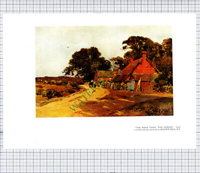 9503) Wilfrid Ball Edge Of Wood  Road Through Forest - c.1980s Print / Cutting