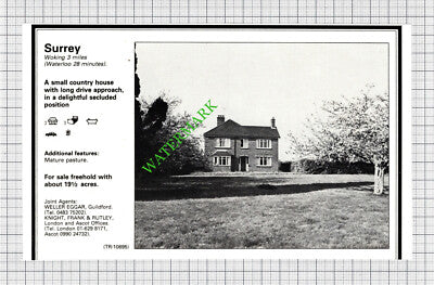 Woking Surrey / Windsor Berkshire House Sale Advert - 1980 Cutting