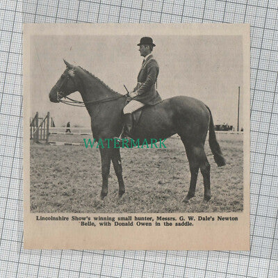 C1286) Donald Owen on Newton G W Dale Horse Show - 1969 Clip