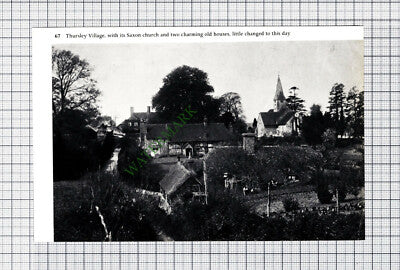 C1472) Thursley Village Surrey  - Cutting