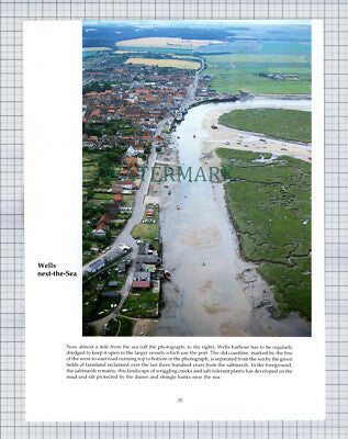 (8613) Wells Next The Sea / Great Yarmouth Gorleston  - 1980s Print / Cutting
