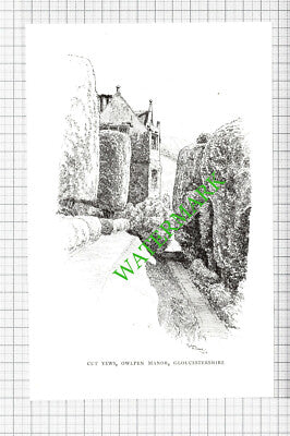 Owlpen Manor Gloucestershire - - 1980s Cutting