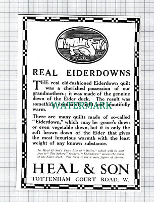 C5978) Heal & Son Eiderdown ADVERT - 1913 Cutting