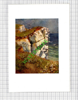 Beachy Head Sussex - c.1913 Small Print