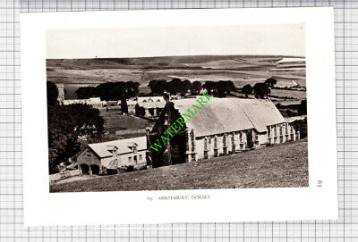 Abbotsbury Dorset - 1932 Cutting / Print