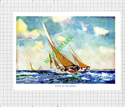 Yachts Sailing / Fishing Trawler Boat  - c.1948 Print