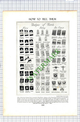 Badges Of Rank Army Navy Air Force  - c.1920s Cutting / Print
