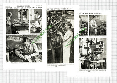 True Form True-Form Boot Company - c.1940s Article