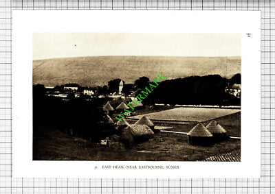 Selborne Hampshire / East Dean Sussex  - 1932 Cutting/ Print