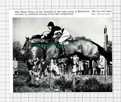 C5477) Miss Diana Mason Tramella Horse Jumping Badminton - 1955 Cutting