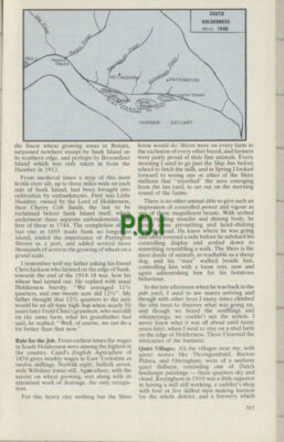 C1200) South Holderness Yorkshire T H Harry Etherington - 1984 Article