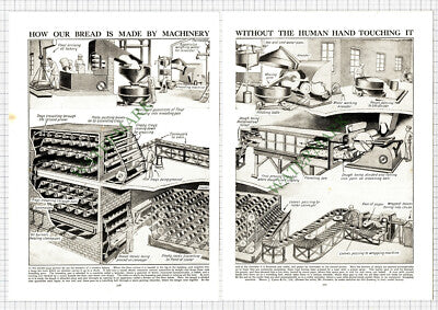9106) Messrs J Lyons Bread Making Machinery -  c.1930s 2-Part Cutting / Print