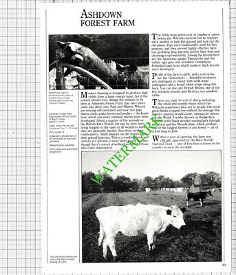 Ashdown Forest Farm Sussex Paul Wilcock Sifelle Nursery Tony Crabb -1986 Cutting