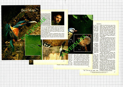 Stephen Dalton Photographer - 1984 Article