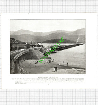 Hastings Sussex / Barmouth Wales - c.1900 Book Print