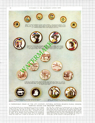 Mrs Faith Russell-Smith Pictorial Buttons Collection -   1950 Cutting / Print