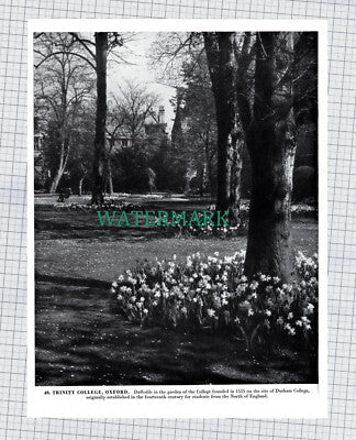 X1950) Royal Crescent Bath Somerset / Trinity College Oxford - 1960s Book Print