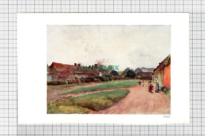 C5083) Wool Dorset - SMALL Print c.1948