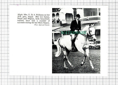 C5484) Mrs V D S Williams Horse Riding Nepal - 1955 Cutting