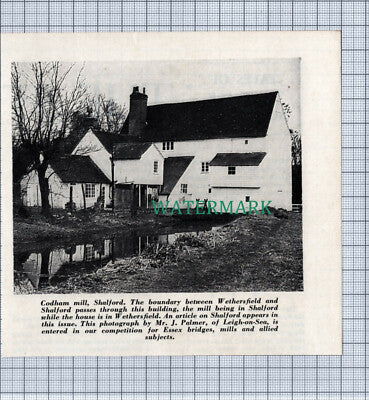 C5001) Codham Mill Shalford  - 1965 Cutting