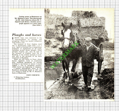 Blackmore Essex Mr P Maclure Farm Mr F Squirrel - 1971 Cutting