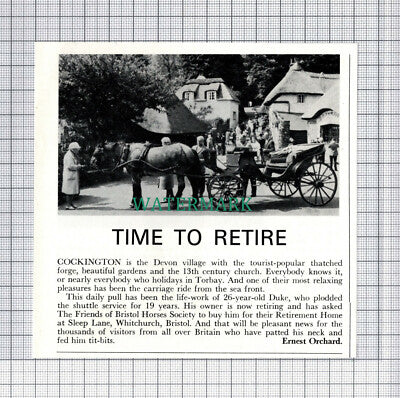 C5198) Cockington Devon Duke Horse Retires - 1970 Clip