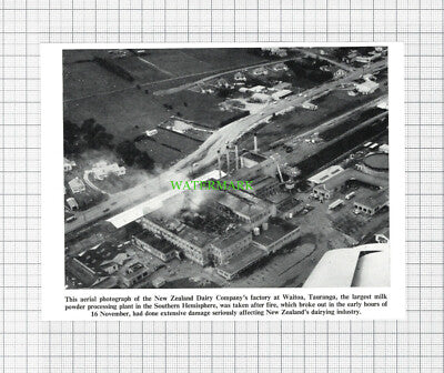 C844) New Zealand Dairy Company Waitoa Tauranga Fire  - 1964 Cutting