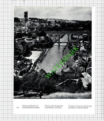 Switzerland  Fribourg / Murten - 1970s Cutting / Print