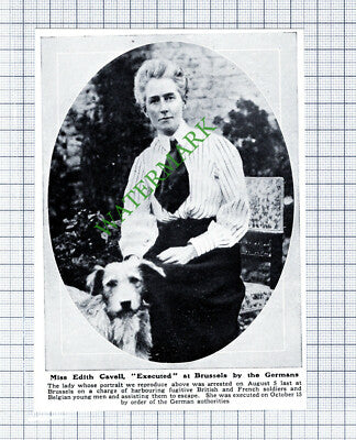 Miss Edith Cavell Executed - 1915 Cutting