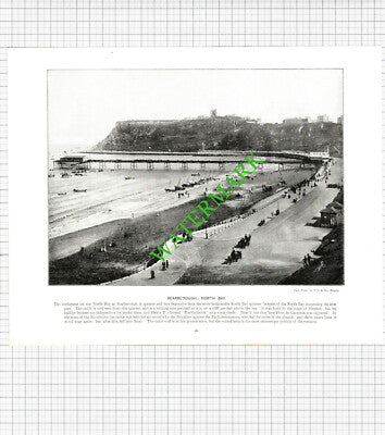 Scarborough Yorkshire / Scarborough North Bay - c.1900 Book Print