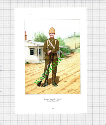 Private Grenadier Guards South Africa -  c.1990's Print