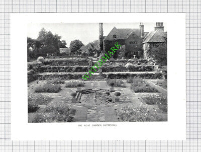 The Rose Garden Homestall Sussex - c.1950s Cutting / Print