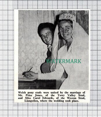 C5361) Mr Price Jones Towy Valley Stud Miss Carol Edwards Llangollen - 1969 Clip