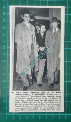 C2635) S Oscar Collaza White House Terrorist Washington Gallinger - 1950 Clip