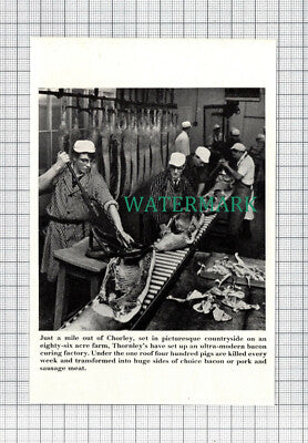 C4045) Thornley & Sons Chorley Bacon Pork Factory - 1964 Clip