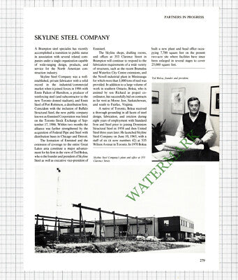 Brampton Brick Ltd Kerbel Fogler Canada  /  Skyline Steel Boksa - 1980s Article