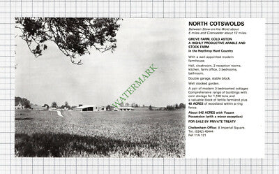 C540) Grove Farm Cold Aston Cotswolds  - 1980 Cutting