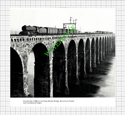 Royal Border Bridge Berwick On Tweed K3 2-6-0 No 61985 Railway Engine  - Cutting