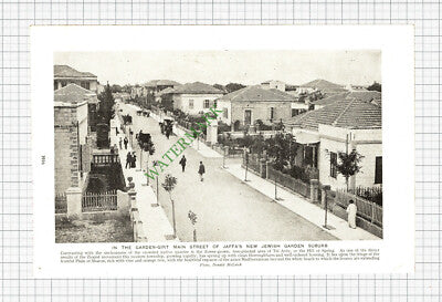 Jaffa Jersusalem Tel Aviv - c.1930s Cutting / Print